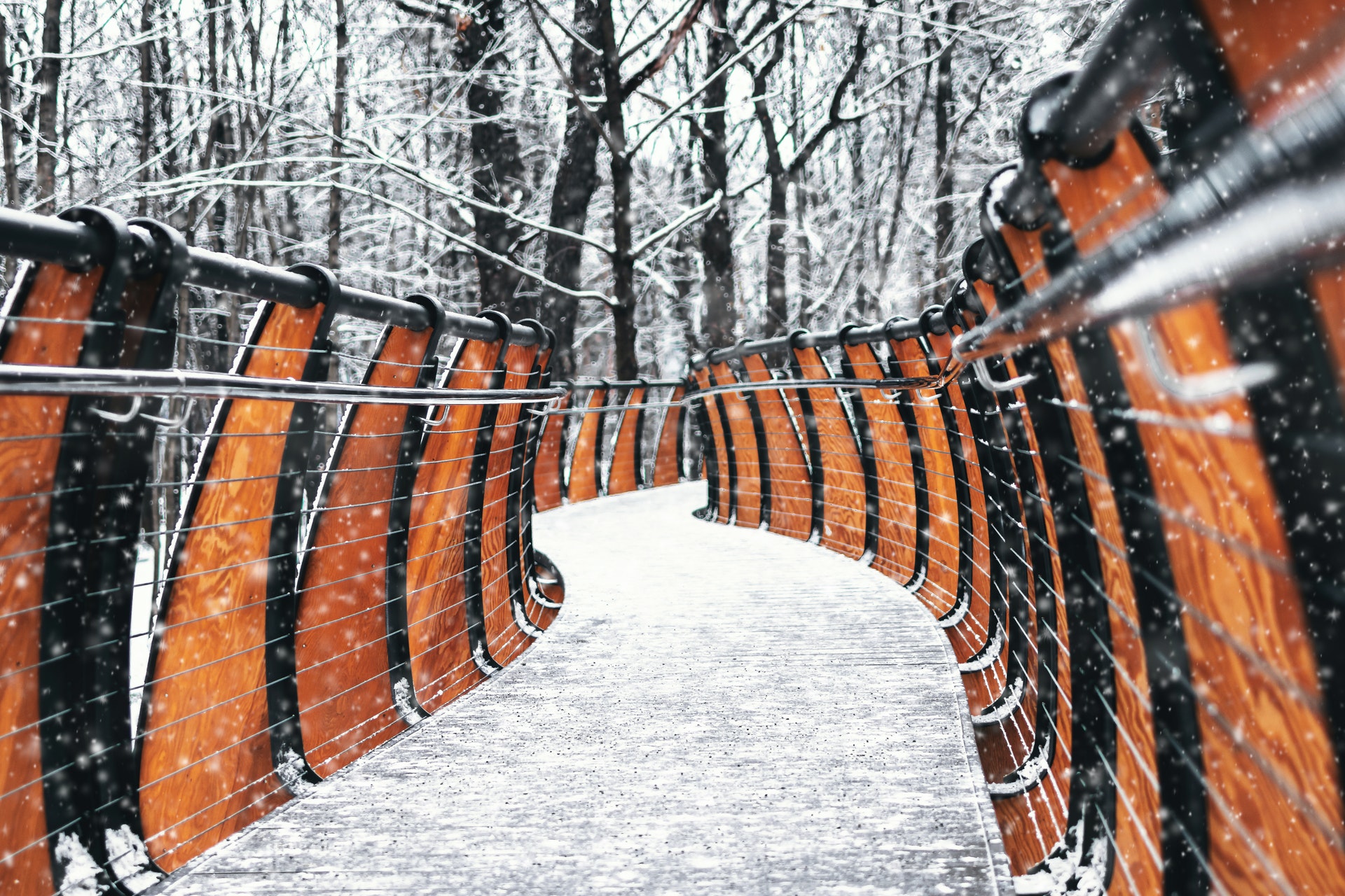/assets/images/snowy_railing.jpg